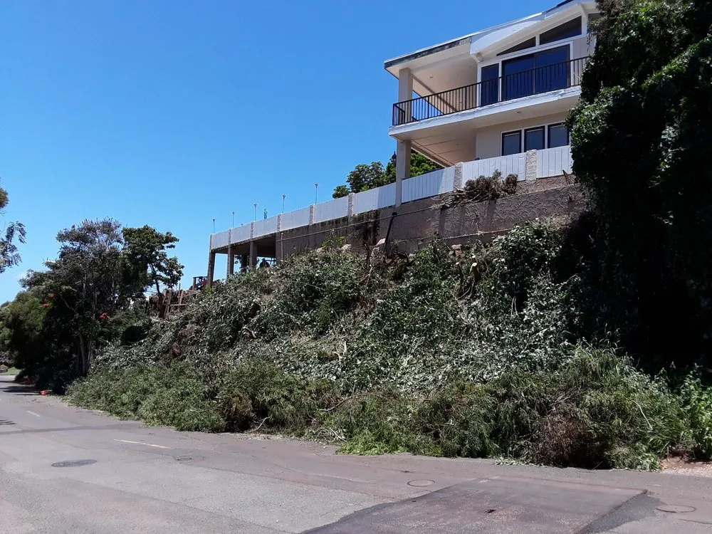 Expert landscaping services in Waipahu, HI - Rocket Tree Surgeons & Landscaping Services