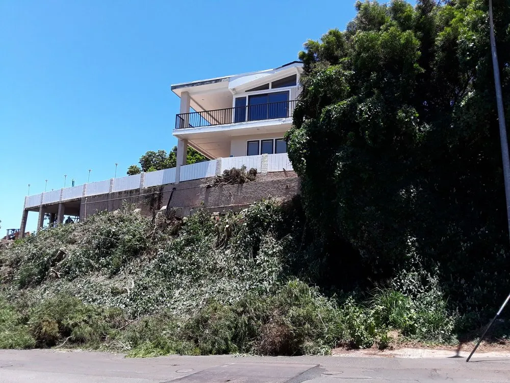 Custom yard maintenance experts serving Waipahu, HI - Rocket Tree Surgeons & Landscaping Services