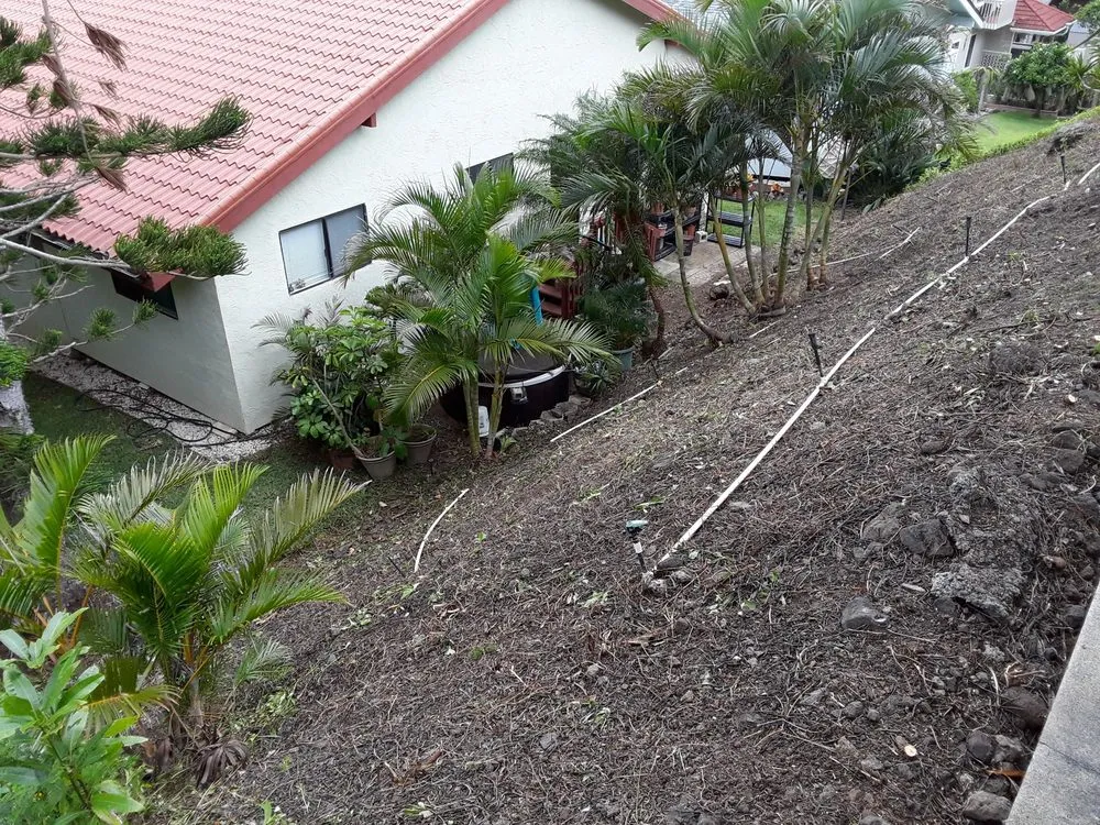 Top-rated yard maintenance for outdoor upgrades in Waipahu, HI by Rocket Tree Surgeons & Landscaping Services