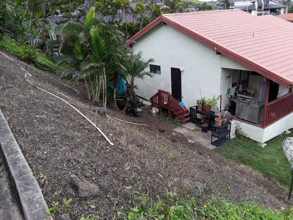 Reliable landscaping services in Waipahu, HI by Rocket Tree Surgeons & Landscaping Services