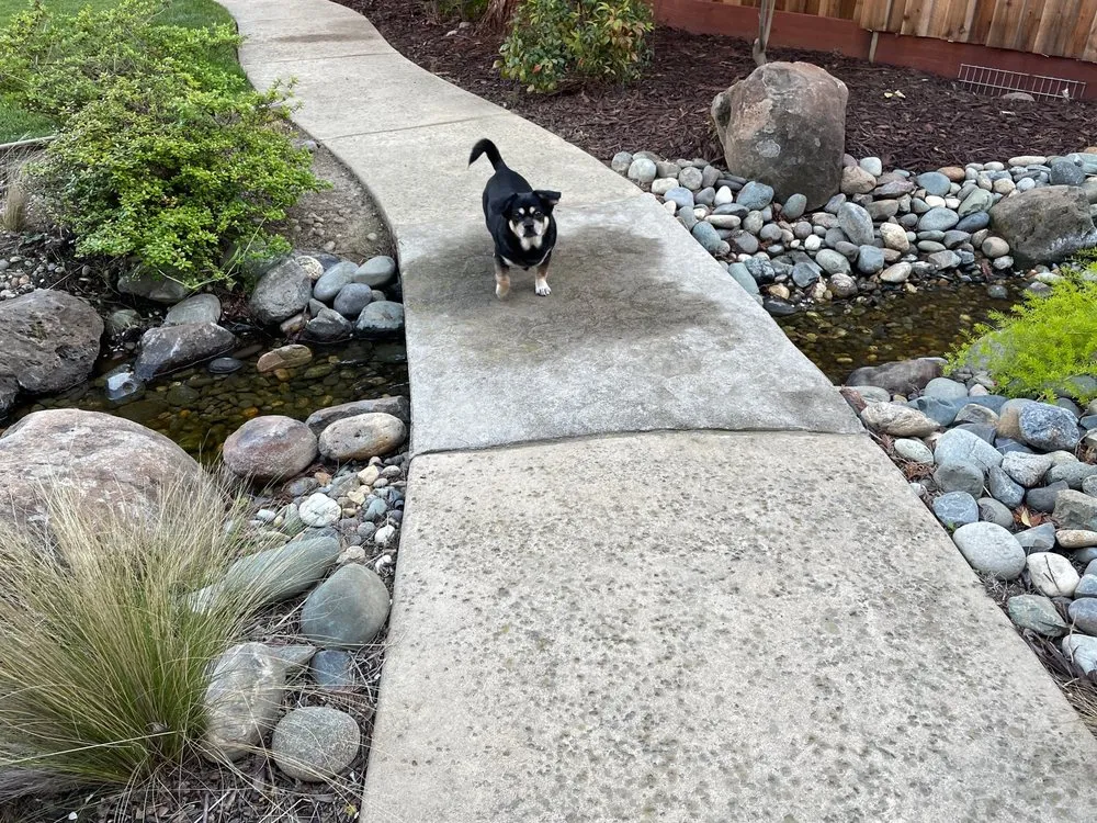 Expert landscaping services for homes across Auburn, CA - Rockface Waterscapes