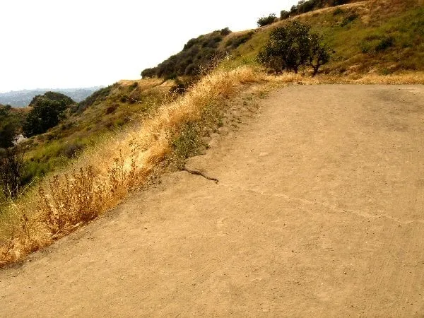 Professional outdoor landscaping for beautiful yards across Auburn, CA - Rockface Waterscapes