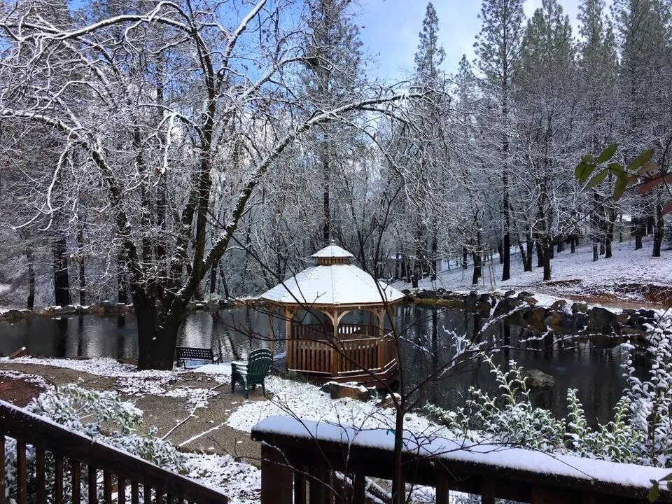 Top-rated yard cleanup service in Auburn, CA - Rockface Waterscapes