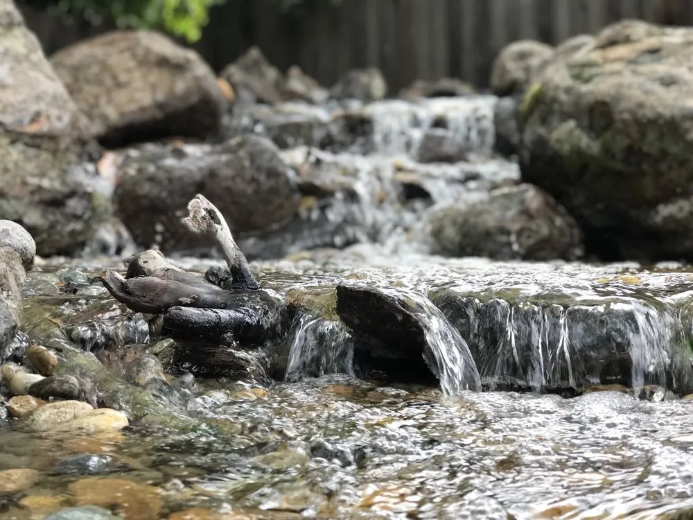 Top-rated landscaping services in Auburn, CA by Rockface Waterscapes