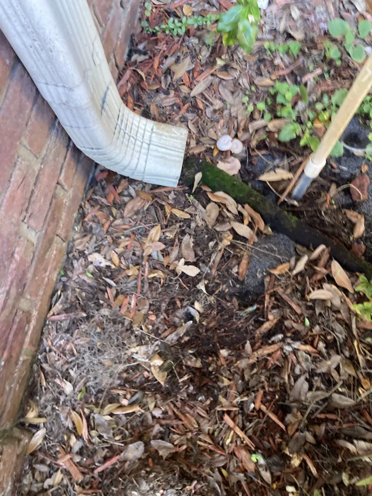 Custom yard maintenance experts serving St. Augustine, FL - Rockhard Landscaping