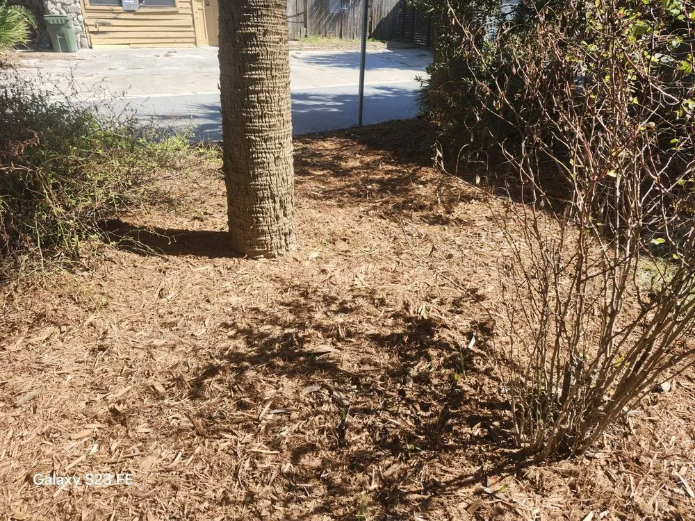 Custom landscape design in St. Augustine, FL - Rockhard Landscaping