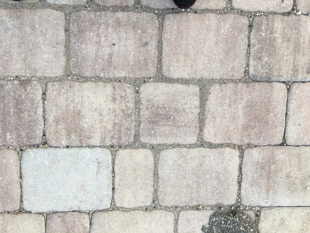 Affordable yard cleanup service in St. Augustine, FL by Rockhard Landscaping