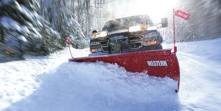 Top-rated lawn mowing service for homes in Silverthorne, CO by Rockies Property Management