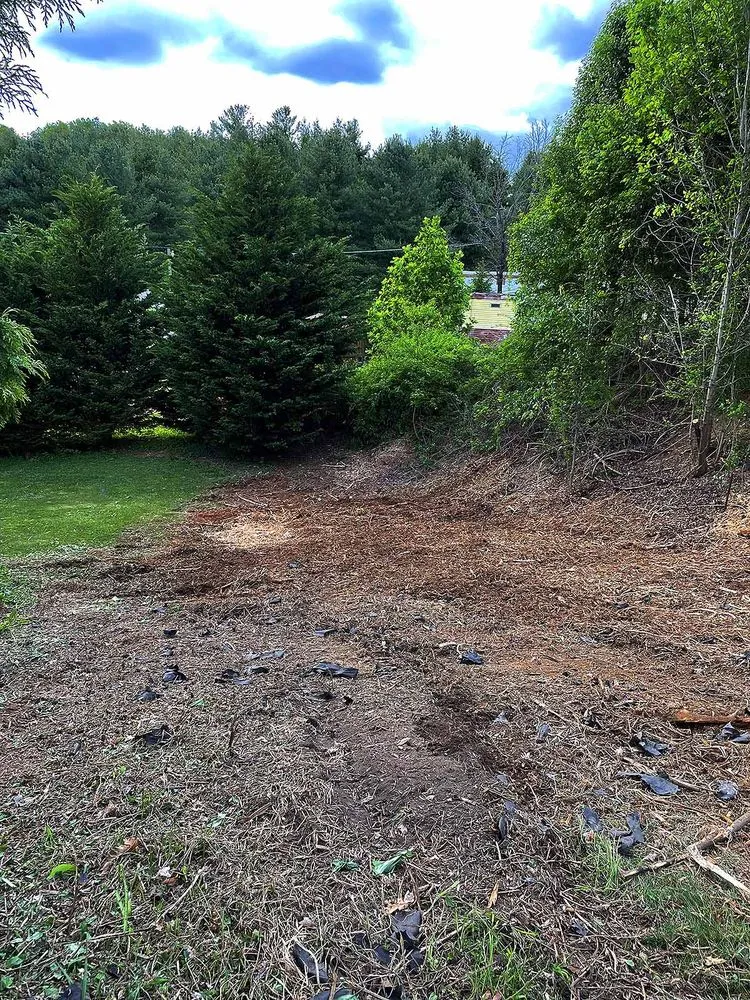 Affordable landscaping services for outdoor upgrades in Independence, VA by Rockin B Land Services