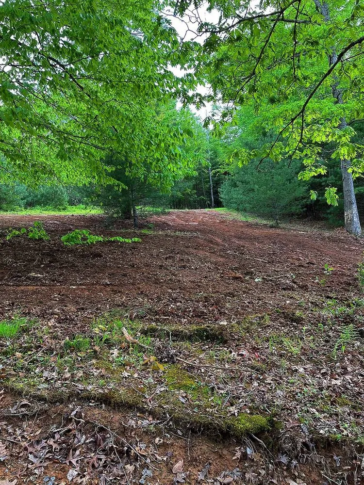 Reliable lawn mowing service in Independence, VA - Rockin B Land Services