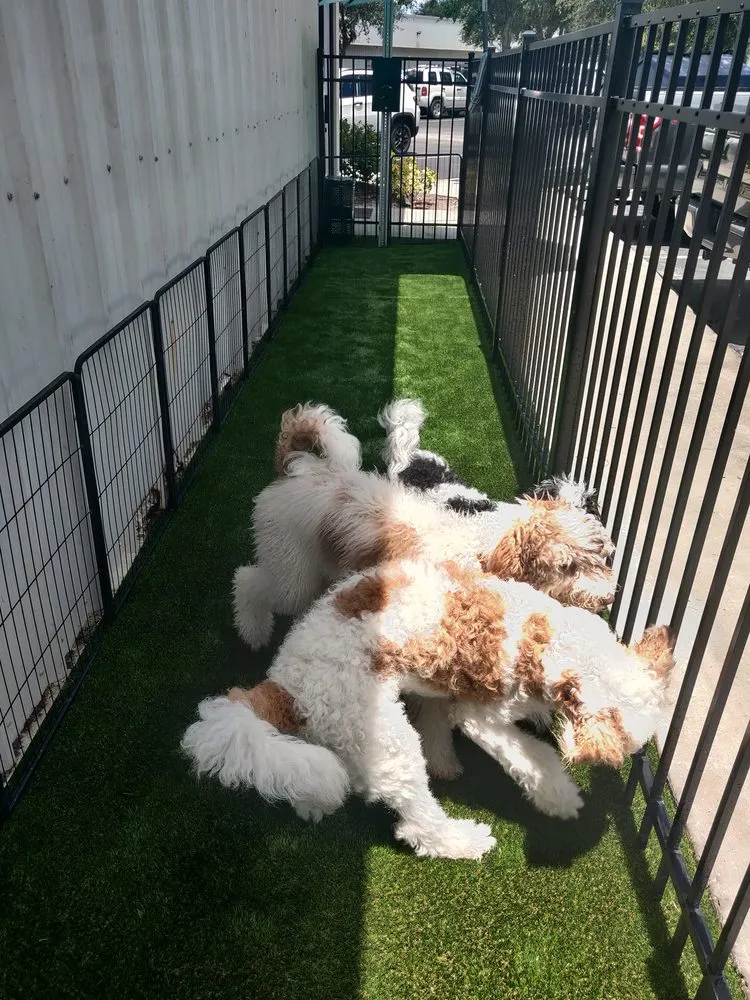 Trusted landscape installation for year-round maintenance across Sanford, FL - Rockin Bloom's