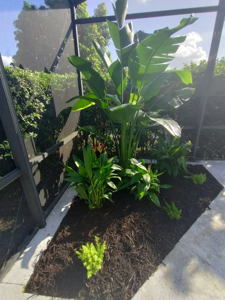 Top-rated landscape installation for year-round maintenance across Sanford, FL - Rockin Bloom's