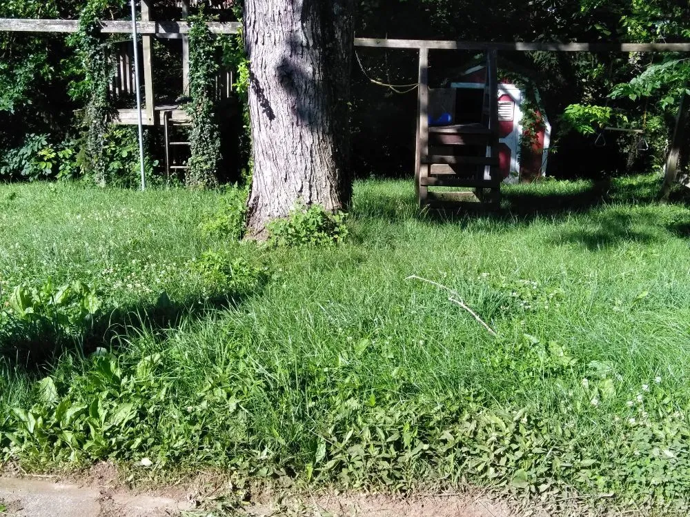 Affordable lawn care service experts serving Walton, KY - Rockin D Lawn Care