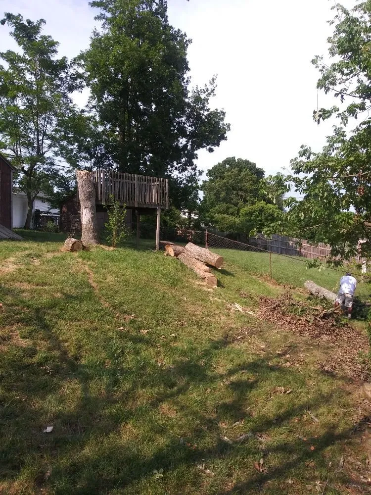 Trusted landscape design for year-round maintenance across Walton, KY - Rockin D Lawn Care