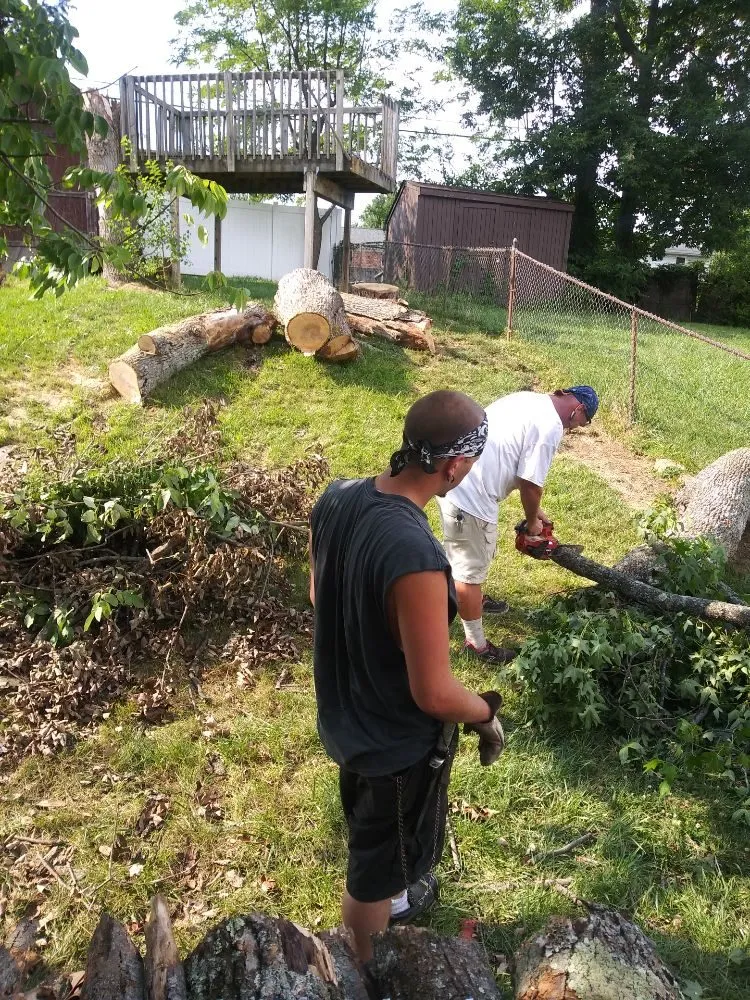 Trusted lawn care service experts serving Walton, KY - Rockin D Lawn Care