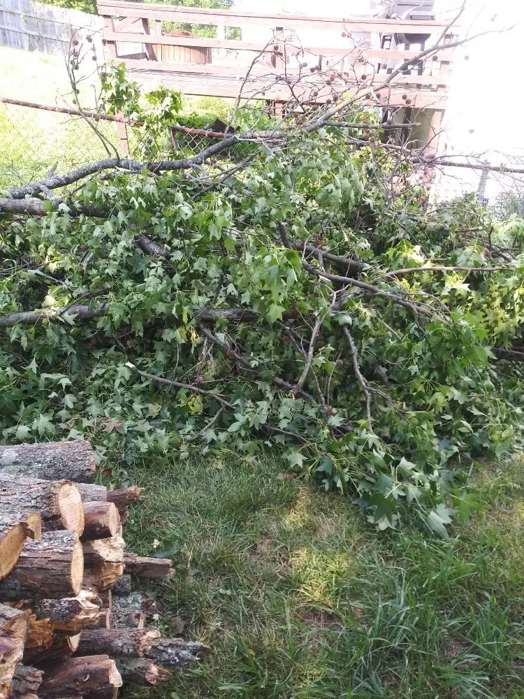 Custom yard maintenance for year-round maintenance across Walton, KY - Rockin D Lawn Care