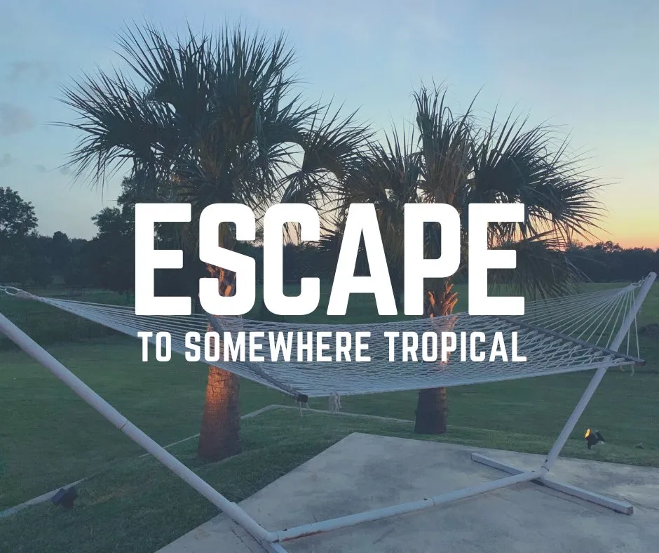 Trusted outdoor landscaping in Huntsville, TX - Rockin' D Services