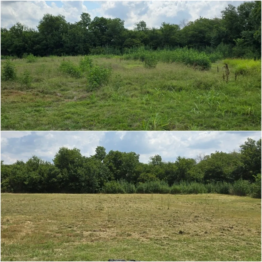 Trusted yard maintenance experts serving Ft Worth, TX - Rockin GI Land Services