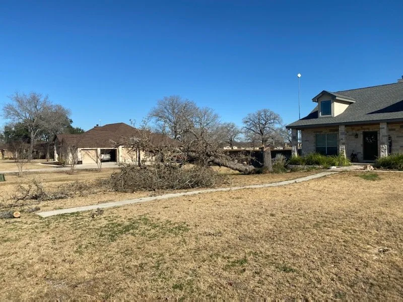 Top-rated lawn mowing service near you across Floresville, TX - Rockin R Tree Service & Landscaping