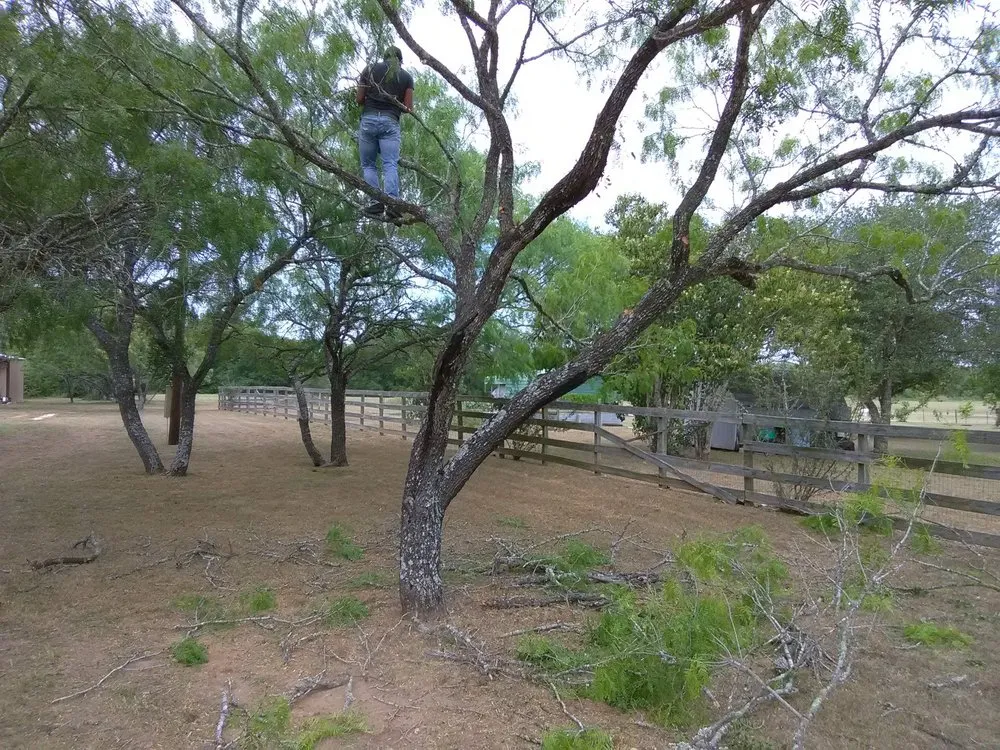 Expert lawn care service for outdoor upgrades across Floresville, TX - Rockin R Tree Service & Landscaping
