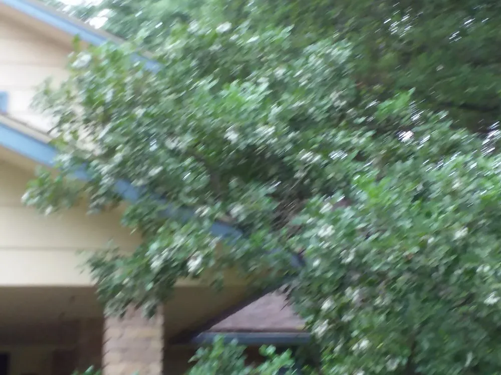 Custom landscaping services in Floresville, TX - Rockin R Tree Service & Landscaping