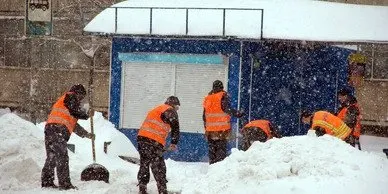 Affordable landscaping services in Livonia, MI by Rockin Ricks