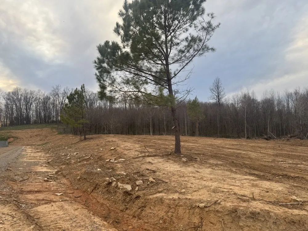 Top-rated landscape design with custom design across Moss, TN - Rocking B