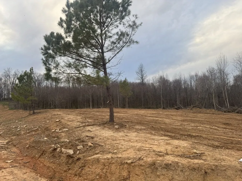 Reliable garden landscaping for beautiful yards in Moss, TN by Rocking B