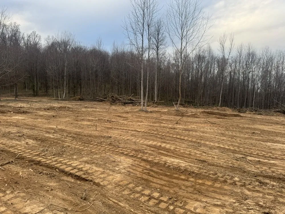 Reliable landscape installation for beautiful yards in Moss, TN by Rocking B