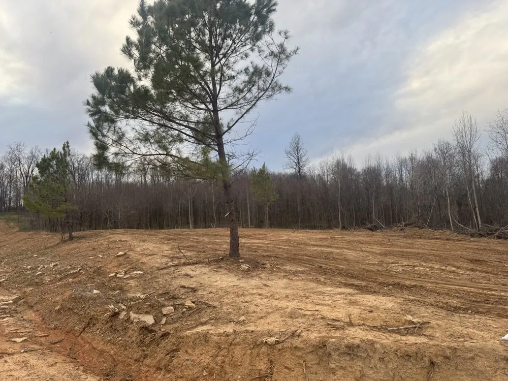 Reliable outdoor landscaping in Moss, TN by Rocking B