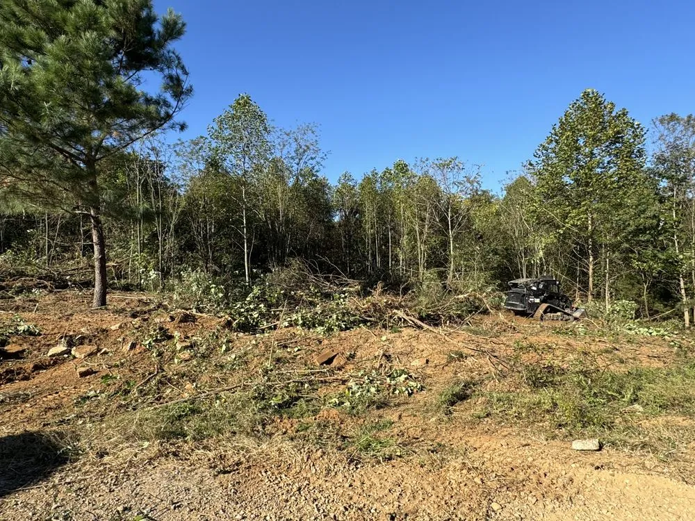 Top-rated yard maintenance for outdoor upgrades across Moss, TN - Rocking B