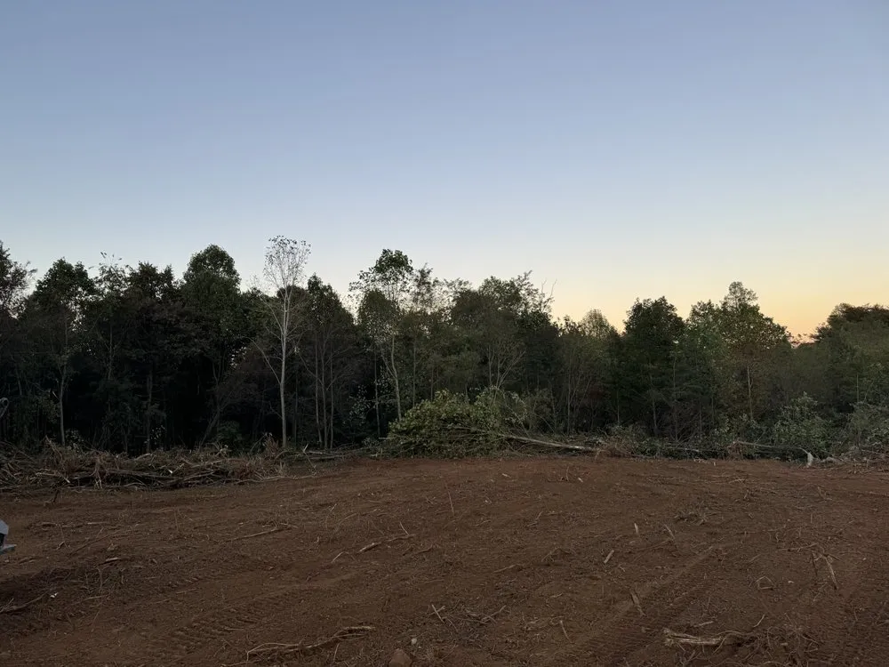 Expert landscaping services in Moss, TN by Rocking B