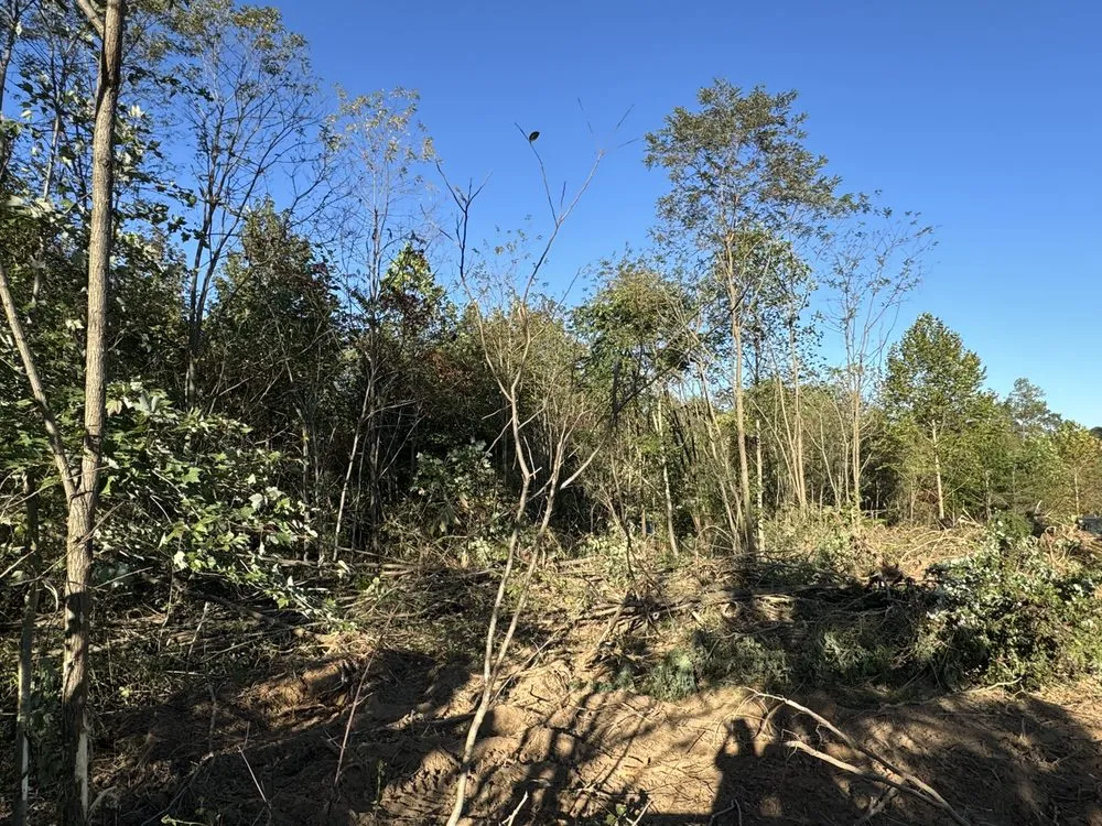 Affordable yard cleanup service in Moss, TN by Rocking B