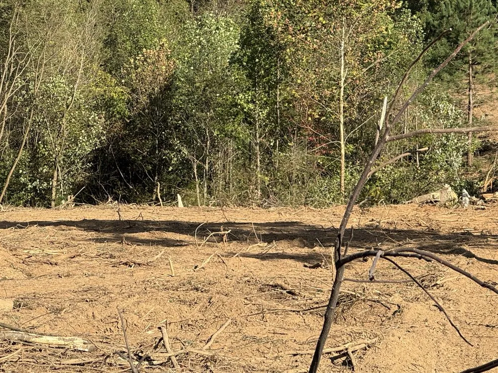 Custom yard cleanup service in Moss, TN by Rocking B