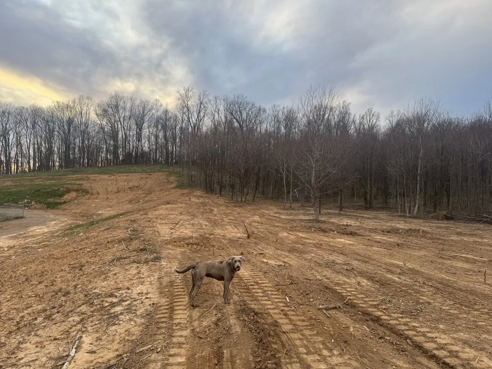 Custom landscape design with custom design across Moss, TN - Rocking B