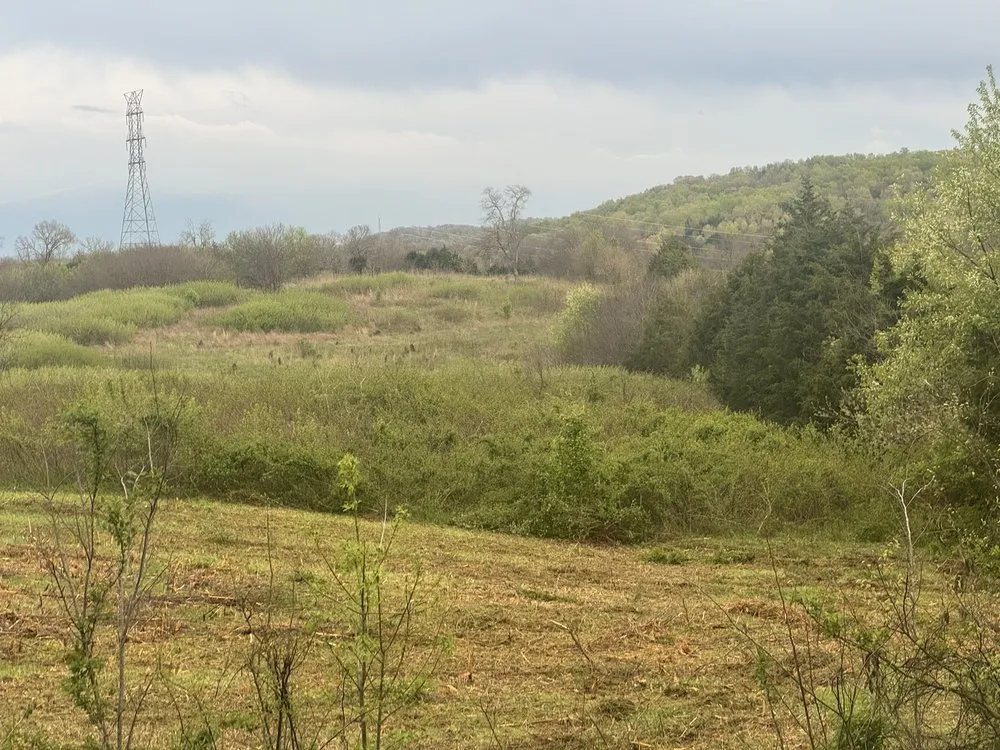 Custom residential landscaping for homes across Moss, TN - Rocking B