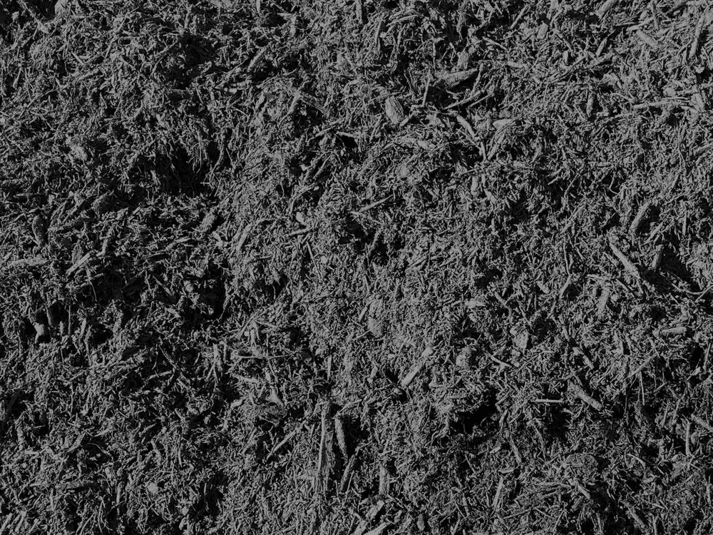 Top-rated lawn mowing service for outdoor upgrades across Garden Ridge, TX - Rocking H Services