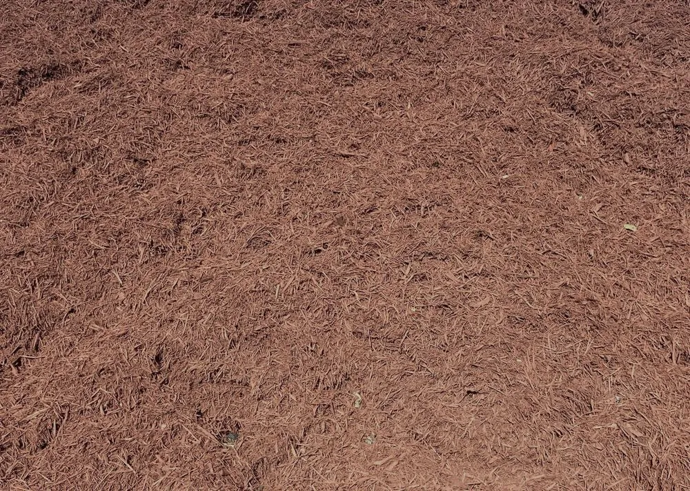 Local yard maintenance in Garden Ridge, TX by Rocking H Services