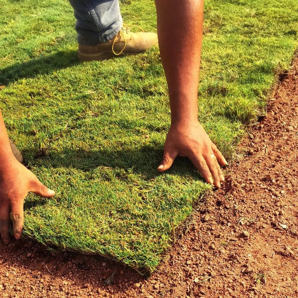 Affordable garden landscaping for outdoor upgrades across Garden Ridge, TX - Rocking H Services