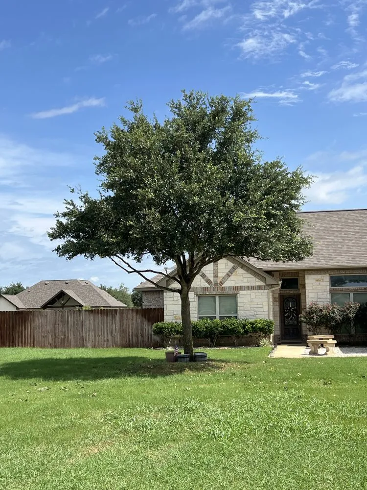 Reliable residential landscaping for residential properties across Lytle, TX - Rocking L Landscape Services