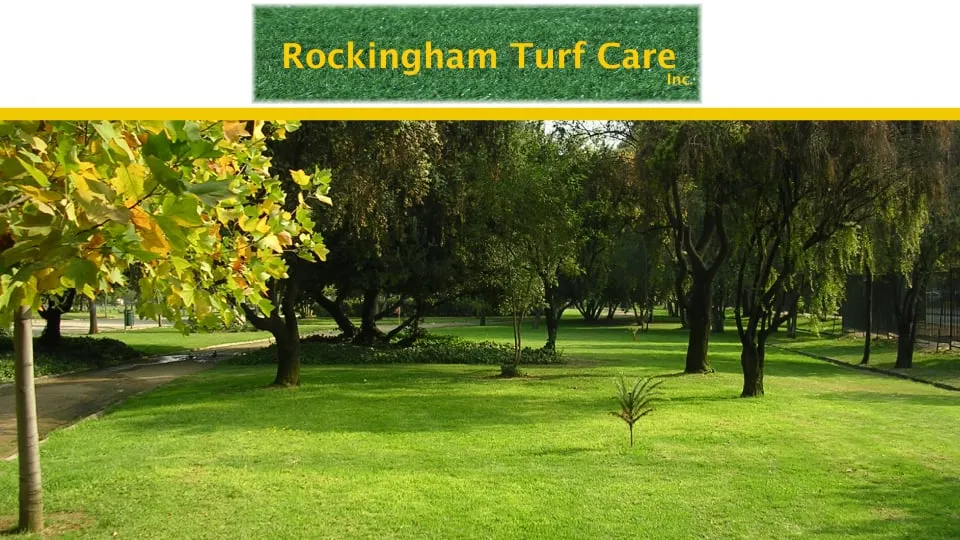 Affordable landscape design experts serving Hooksett, NH - Rockingham Turf Care