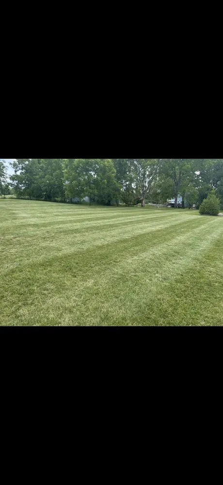 Trusted landscape design with custom design across Redford Township, MI - Rockit Landscape