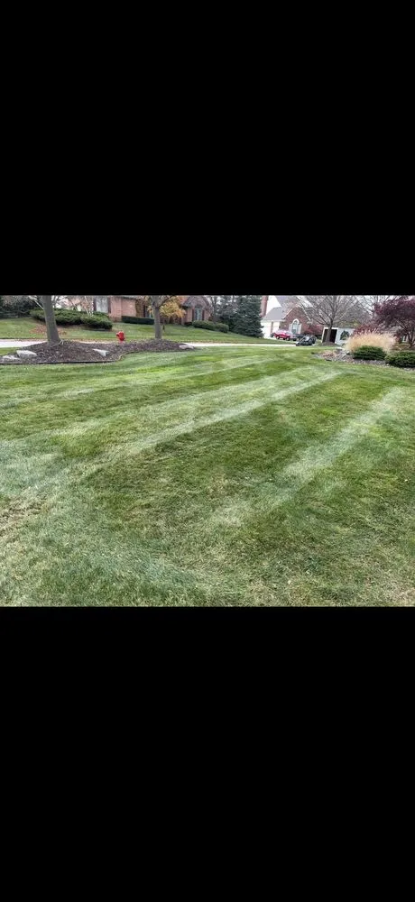 Top-rated garden landscaping in Redford Township, MI - Rockit Landscape