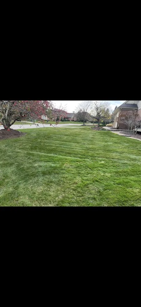 Reliable landscape installation for residential properties in Redford Township, MI by Rockit Landscape