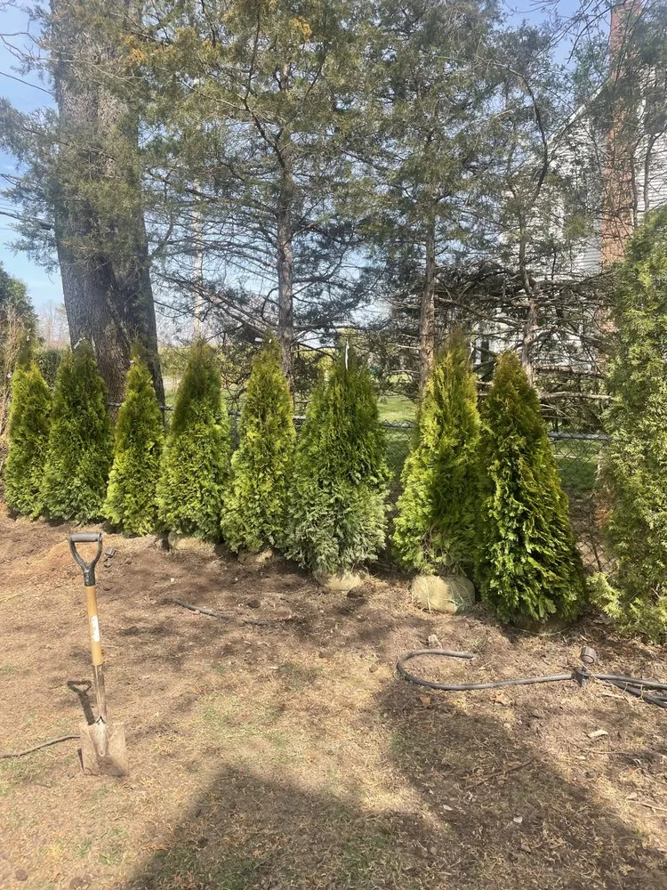 Affordable outdoor landscaping experts serving Spring Valley, NY - Rockland Landscape
