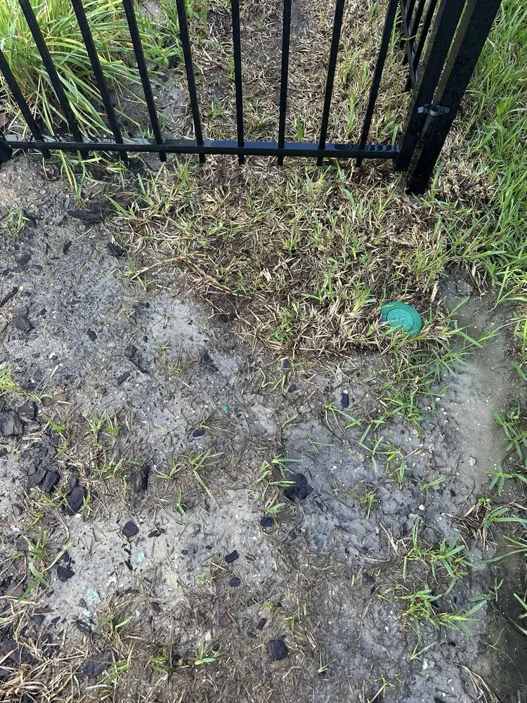 Trusted landscape installation with custom design across Rockledge, FL - Rockledge Lawns And Landscaping