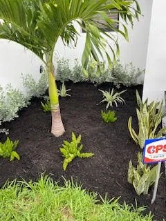 Reliable lawn mowing service near you in Rockledge, FL by Rockledge Lawns And Landscaping