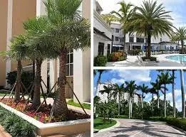 Reliable landscape design for beautiful yards across Rockledge, FL - Rockledge Lawns And Landscaping