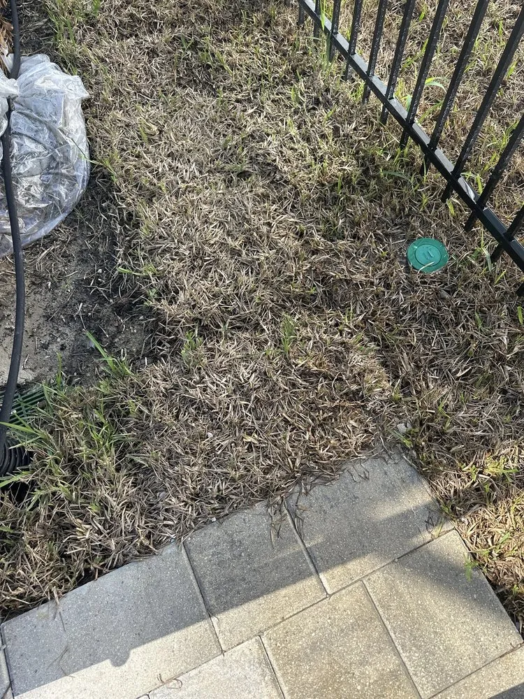 Affordable landscape design experts serving Rockledge, FL - Rockledge Lawns And Landscaping