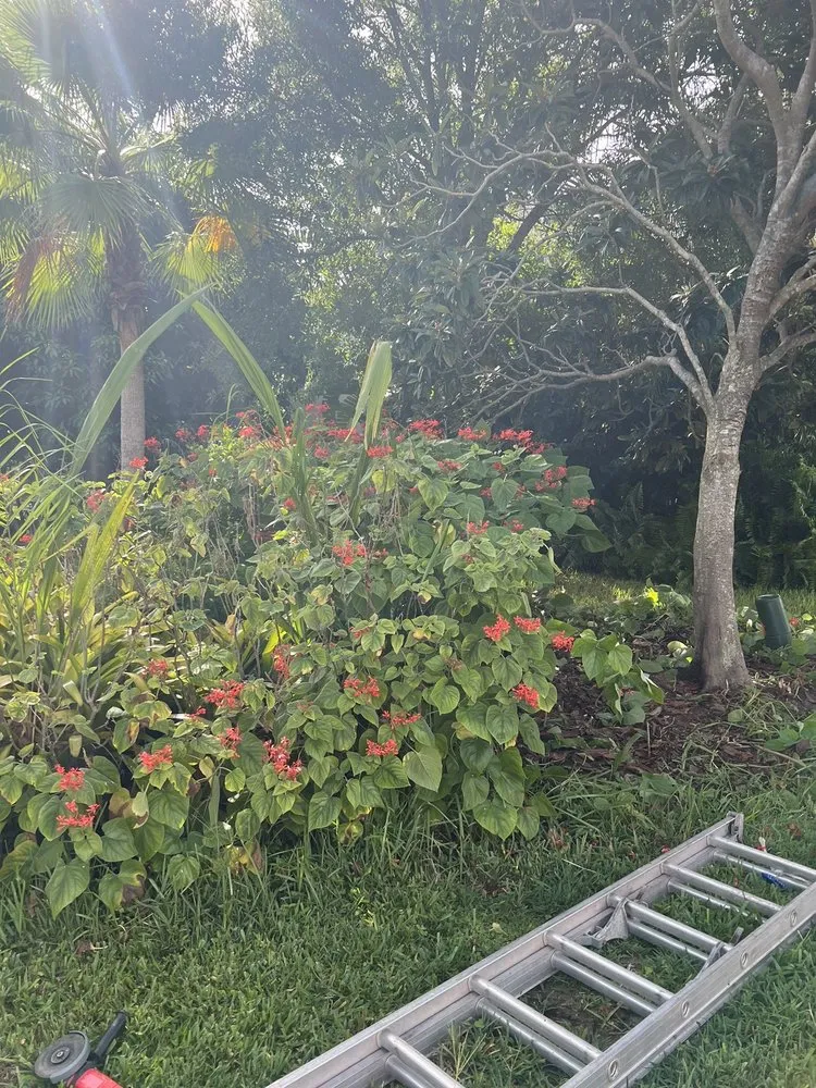 Trusted outdoor landscaping in Rockledge, FL by Rockledge Lawns And Landscaping